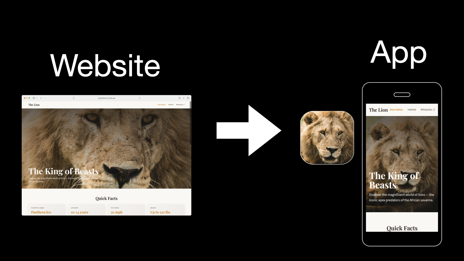Website to Mobile App Conversion Process - iOS and Android